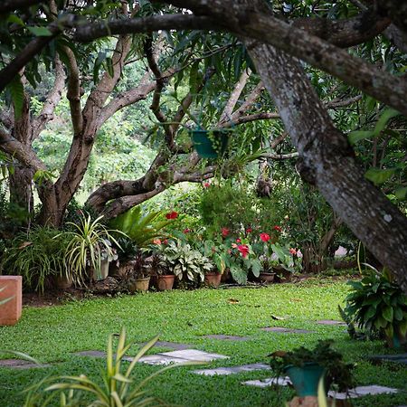 Shan Mango Homestay สิกิริยา ภายนอก รูปภาพ