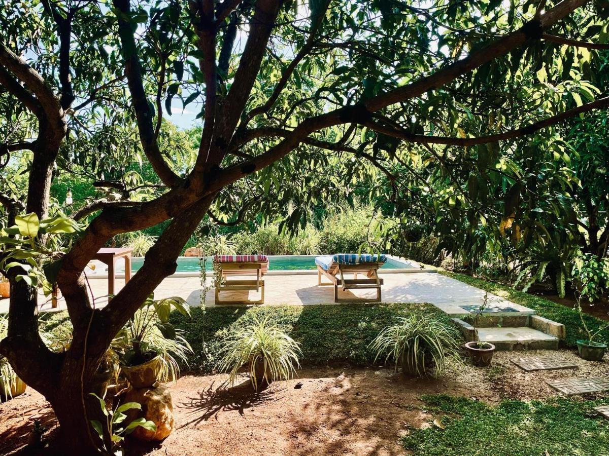 Shan Mango Homestay สิกิริยา ภายนอก รูปภาพ
