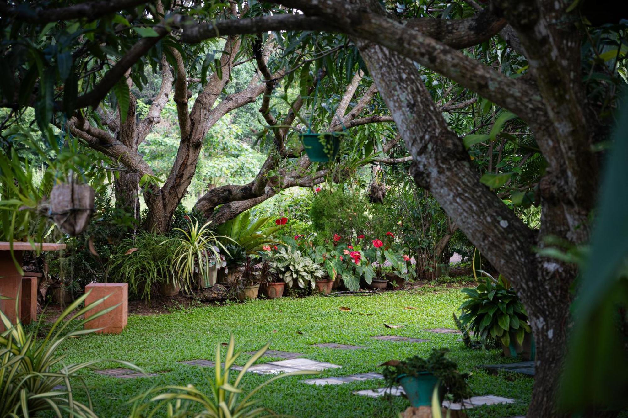 Shan Mango Homestay สิกิริยา ภายนอก รูปภาพ